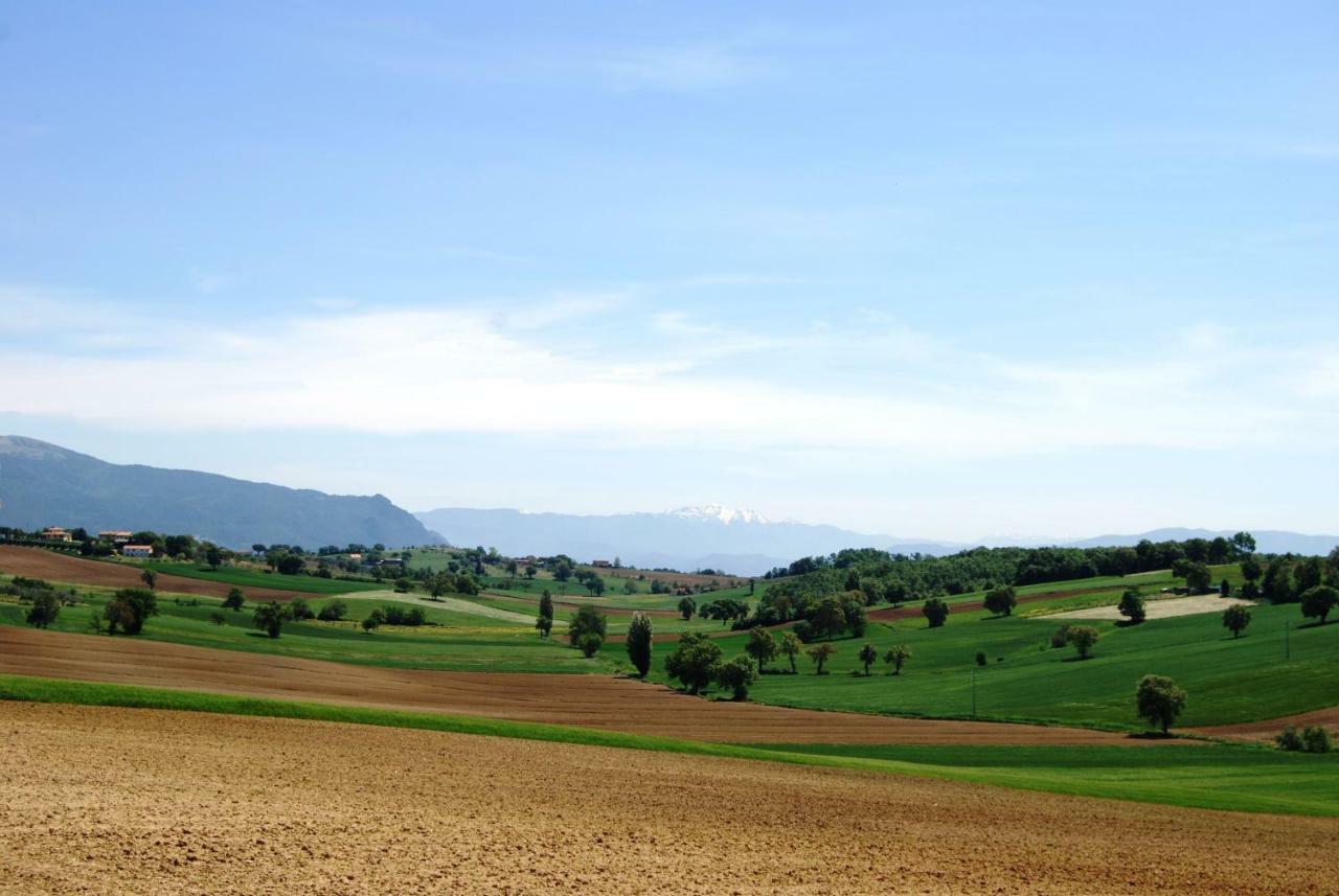 Bilocale Verde Umbria 몬테카스트릴리 외부 사진