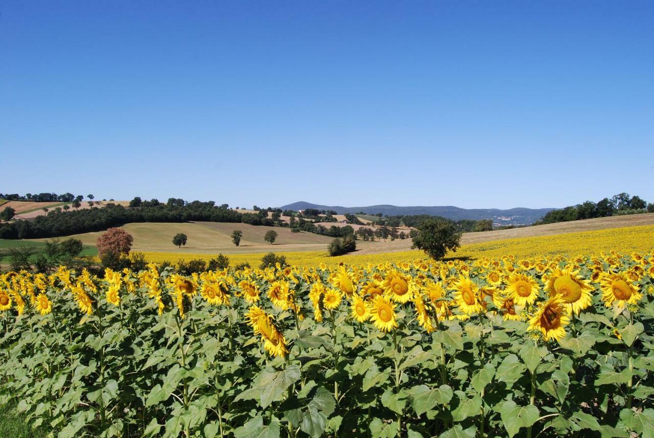 Bilocale Verde Umbria 몬테카스트릴리 외부 사진